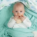 gryzak drewniany na ząbkowanie dla dzieci klonowy
